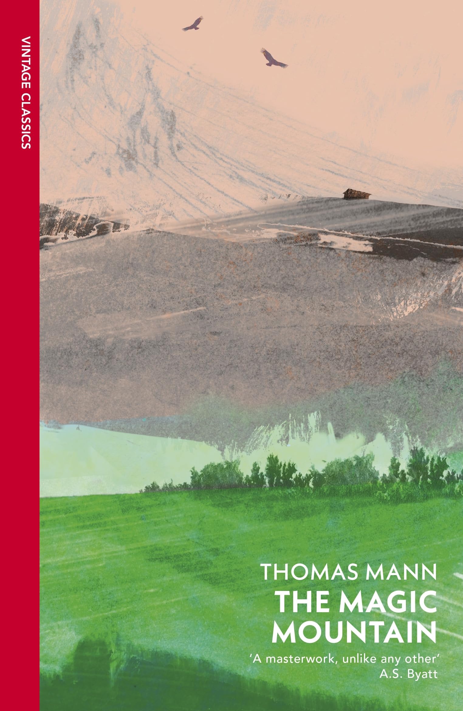 Buy The Magic Mountain Book Online at Low Prices in India | The